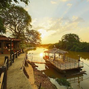 Hotel Pantanal Mato Grosso